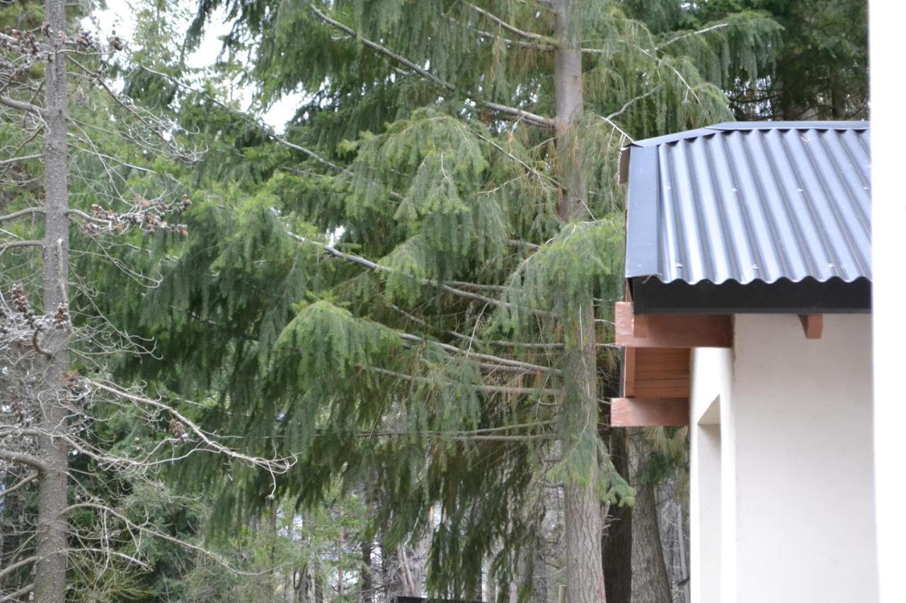 Holiday home Casa En Bosque Llao Llao San Carlos de Bariloche